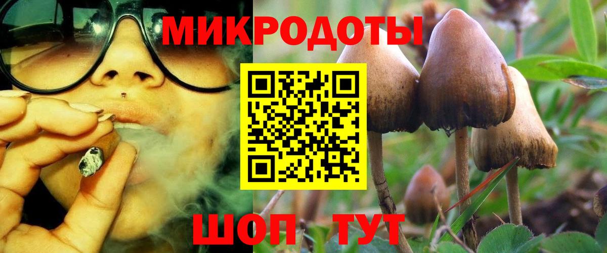 Псилоцибиновые грибы прущие грибы  Вход с VPN  Белорецк 