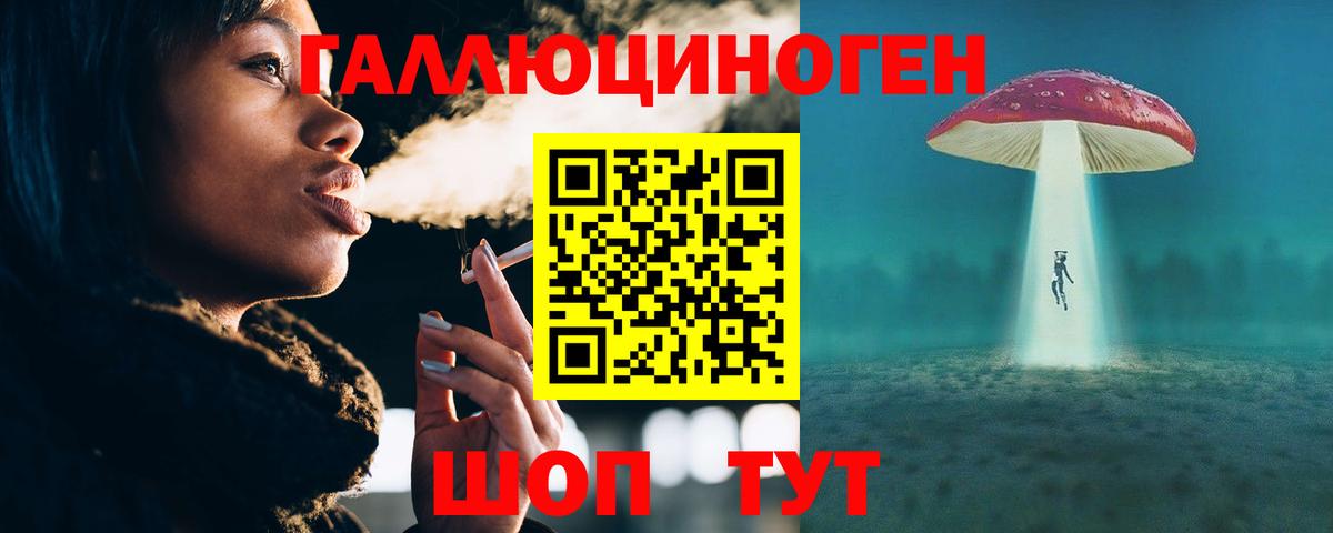 Галлюциногенные грибы Psilocybe Белорецк